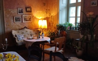 February at Padure Manor – Cold, New Beginnings, and Investor Support