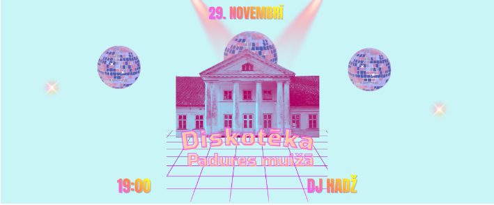 Discotheque at Padure manor