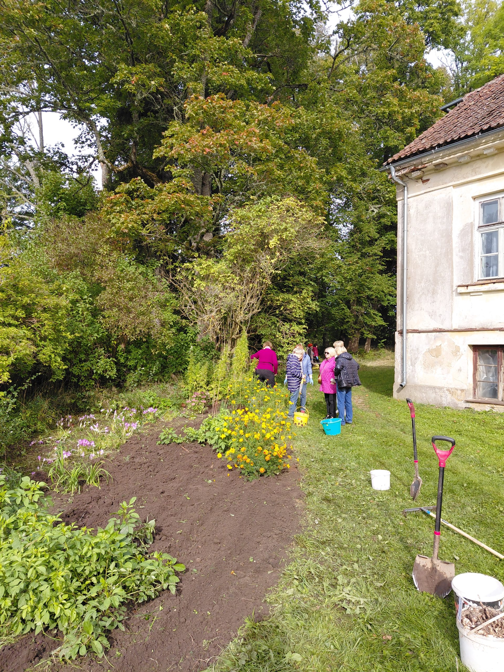 Jelgavas senirou biedrība talkā Padures muižā